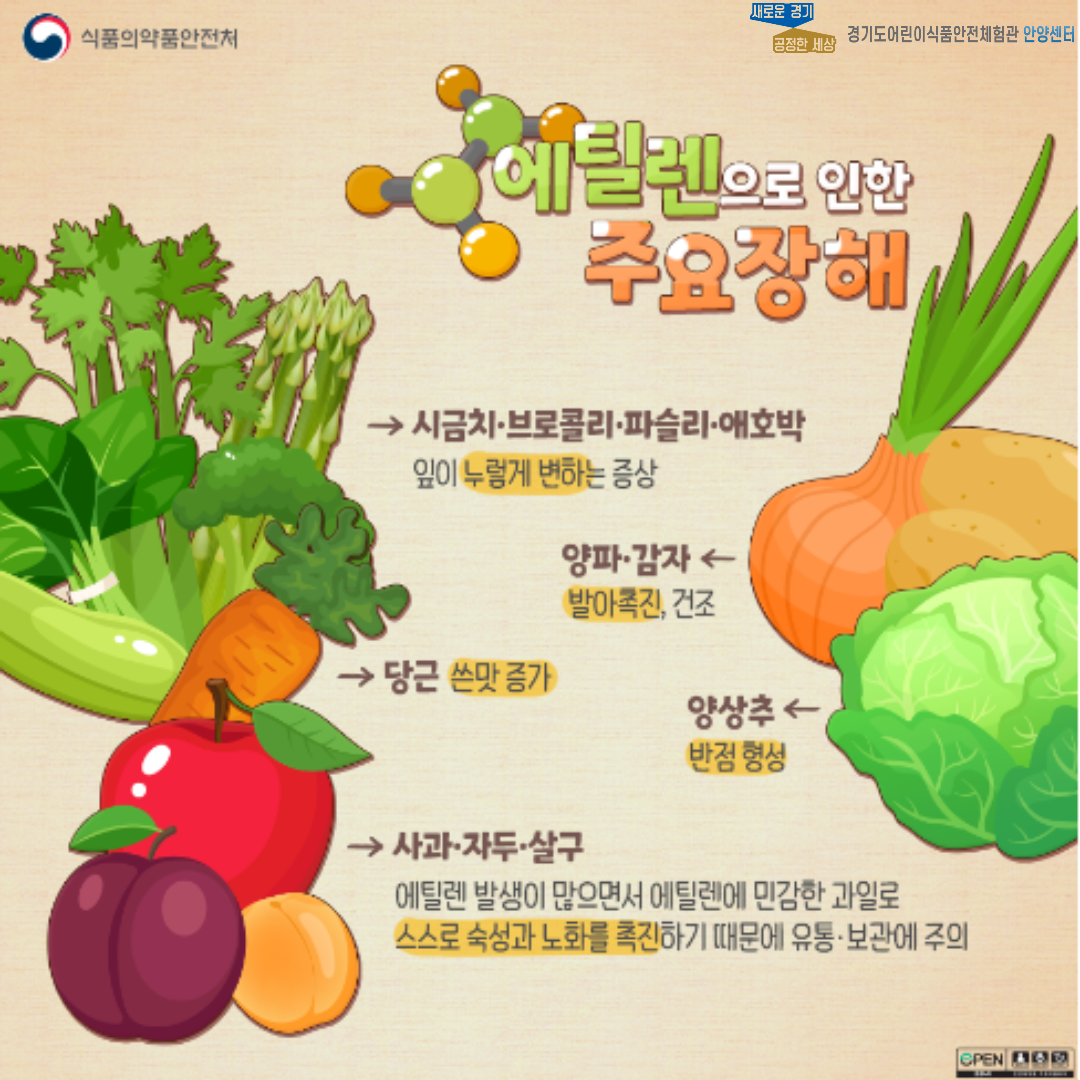 사과 다른 과일, 채소와 함께 보관하면 안돼요! 설명 세번째 페이지 입니다.