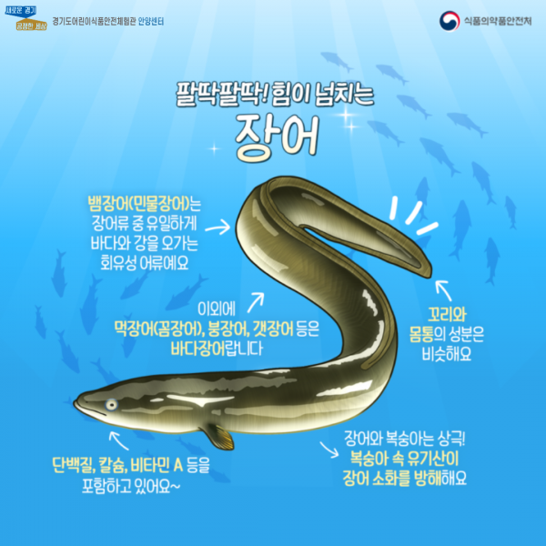 장어 두번째 설명 페이지 입니다.