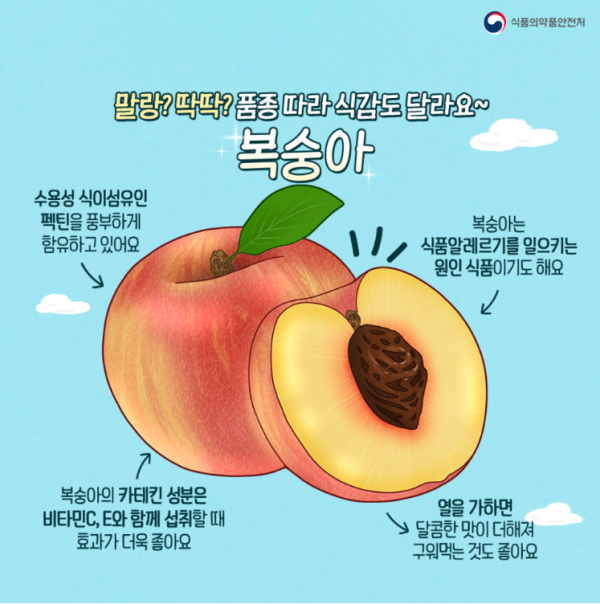 복숭아 설명 두번째 페이지 입니다.