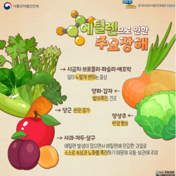 사과 다른 과일, 채소와 함께 보관하면 안돼요! 설명 세번째 페이지 입니다.