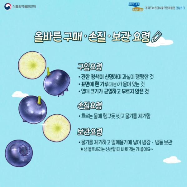 블루베리 설명 세번째 페이지 입니다.