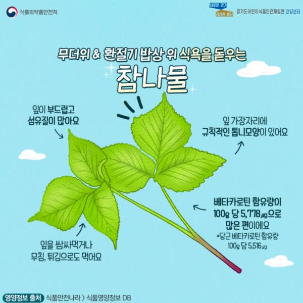 참나물 설명 두번째 페이지 입니다