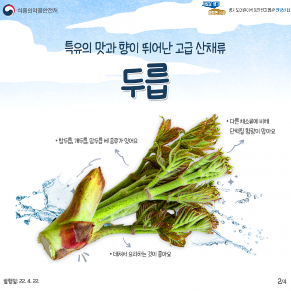두릅 설명 두번째 페이지 입니다
